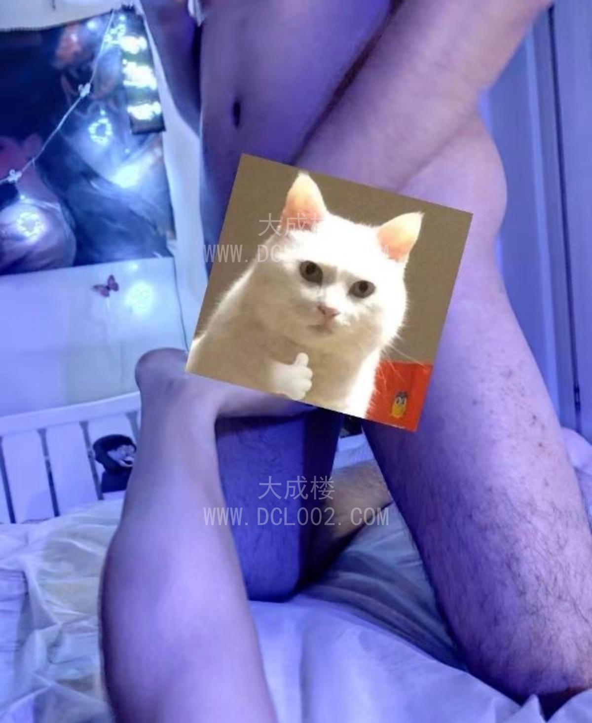 合肥三通大胸妹