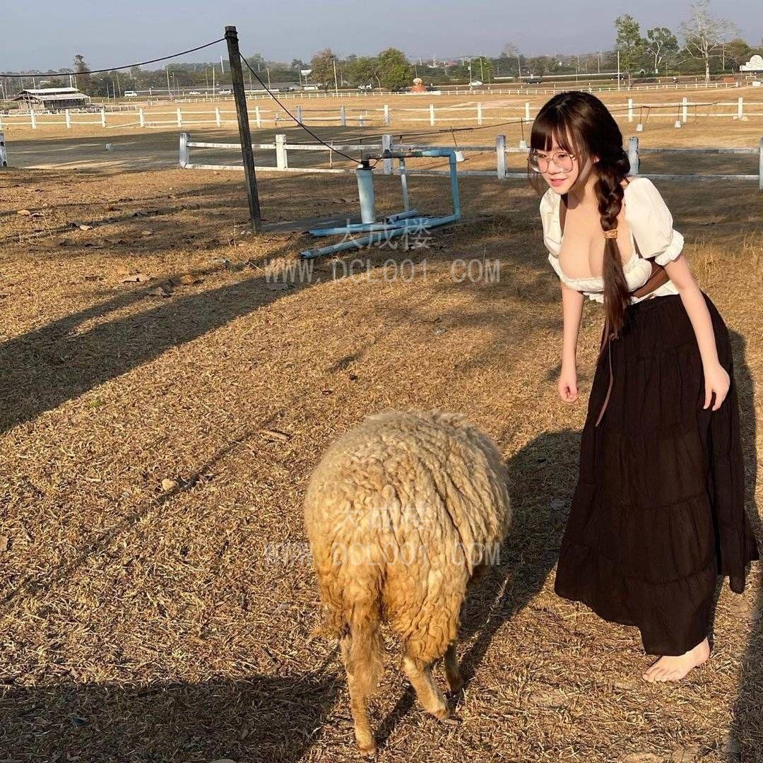 白云做主人的狗听从一切指令