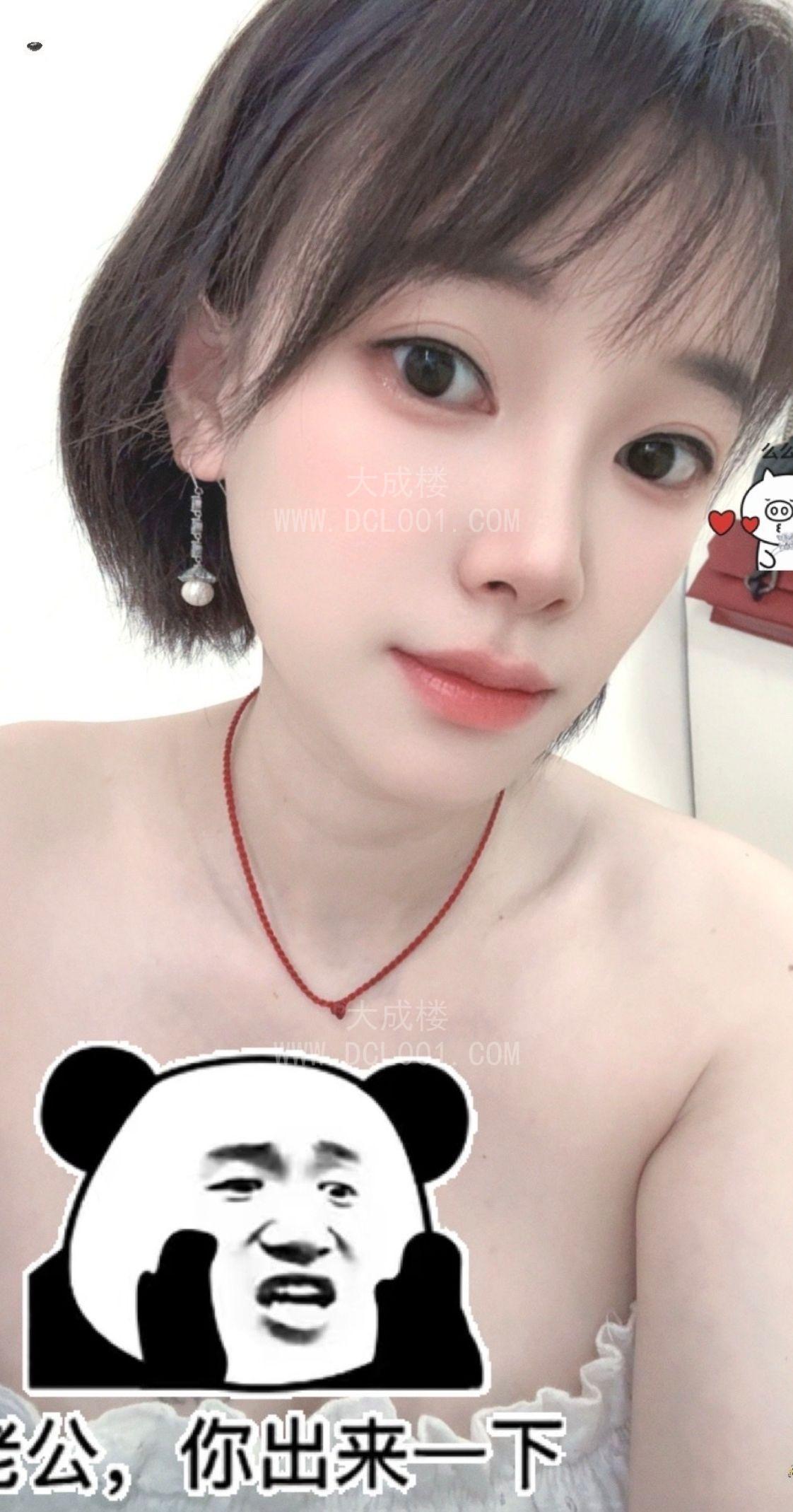 天河岗顶服务猪猪