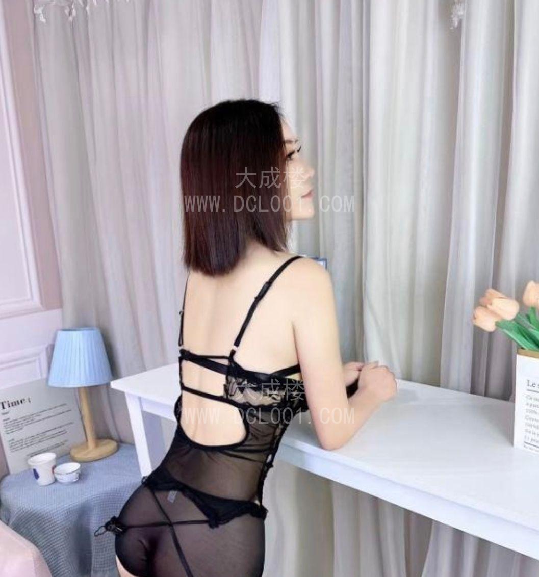 海珠南洲小野猫